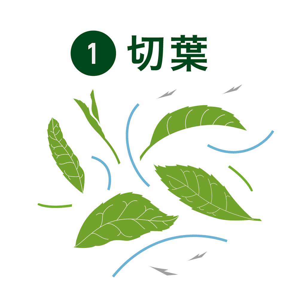 切葉