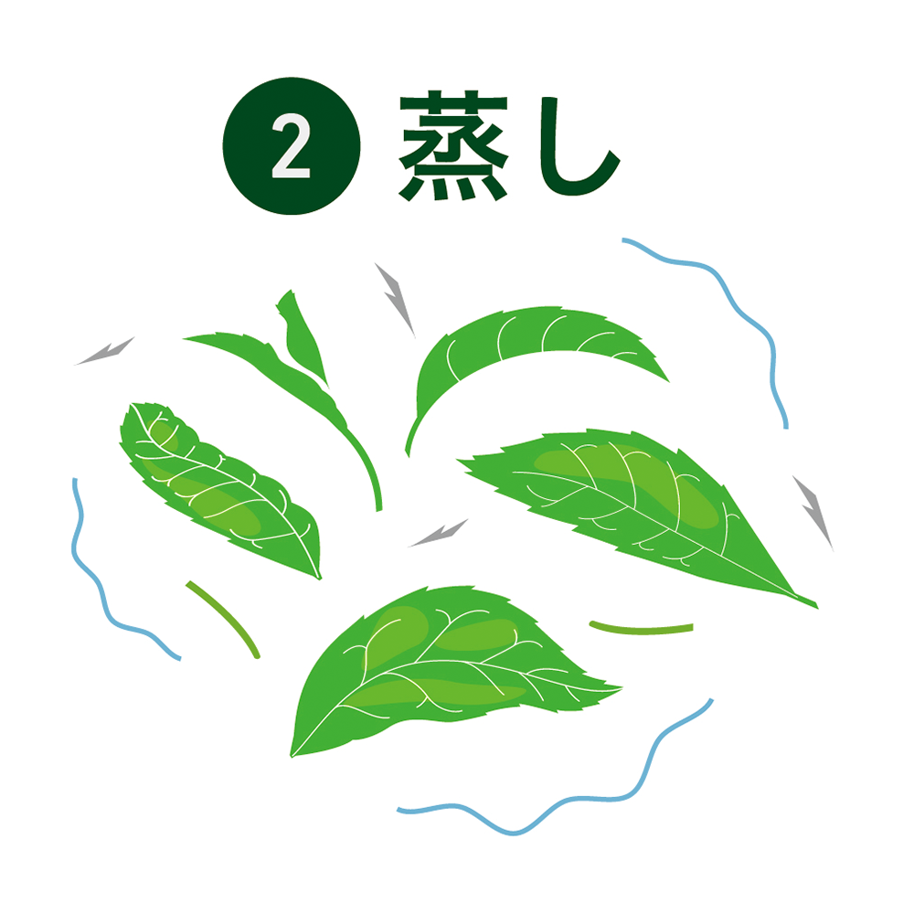 蒸し