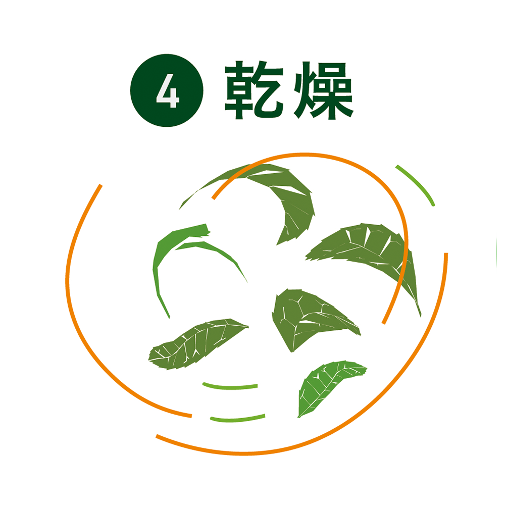 乾燥