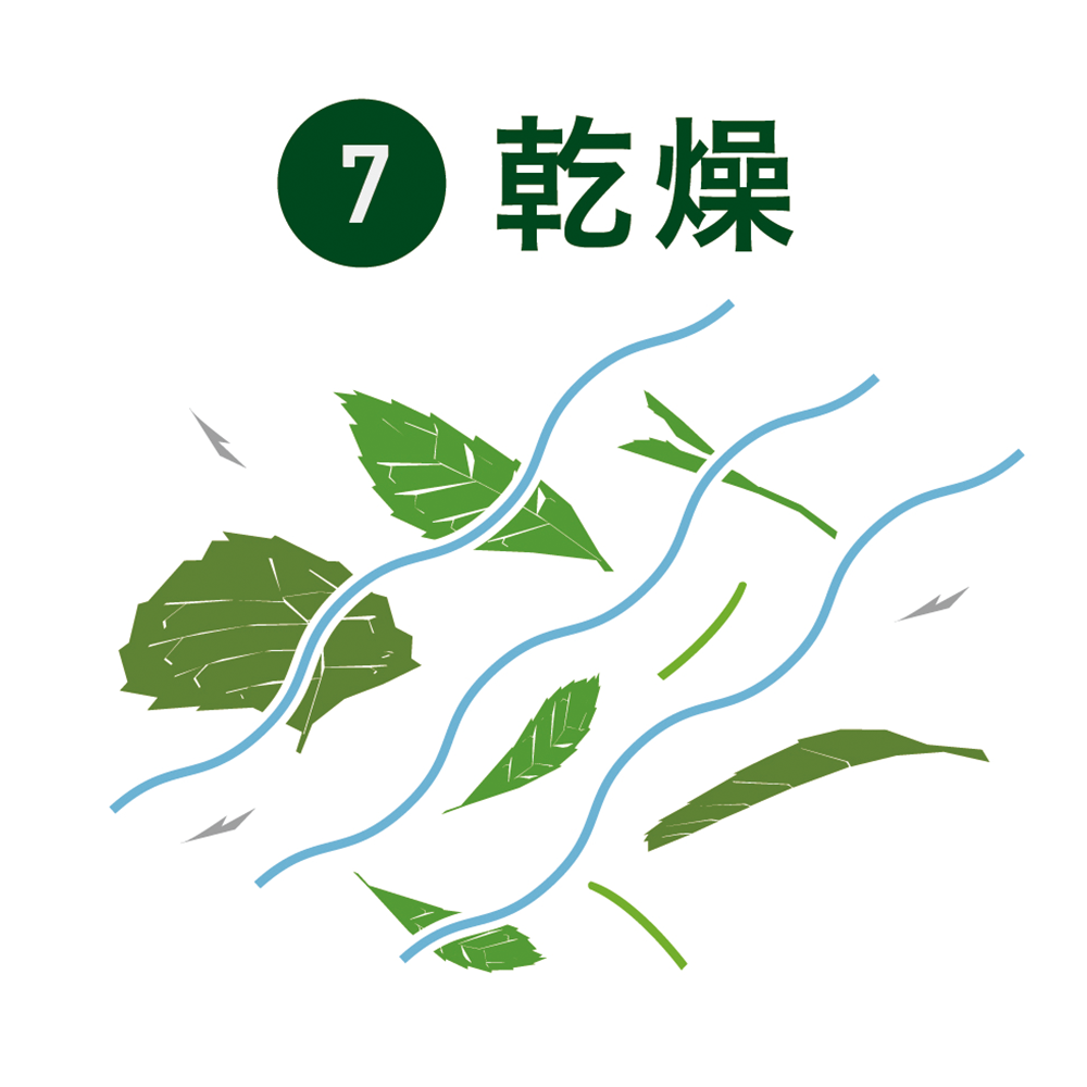 乾燥