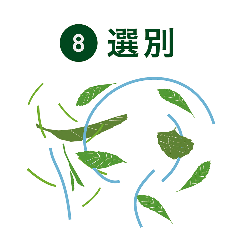 選別