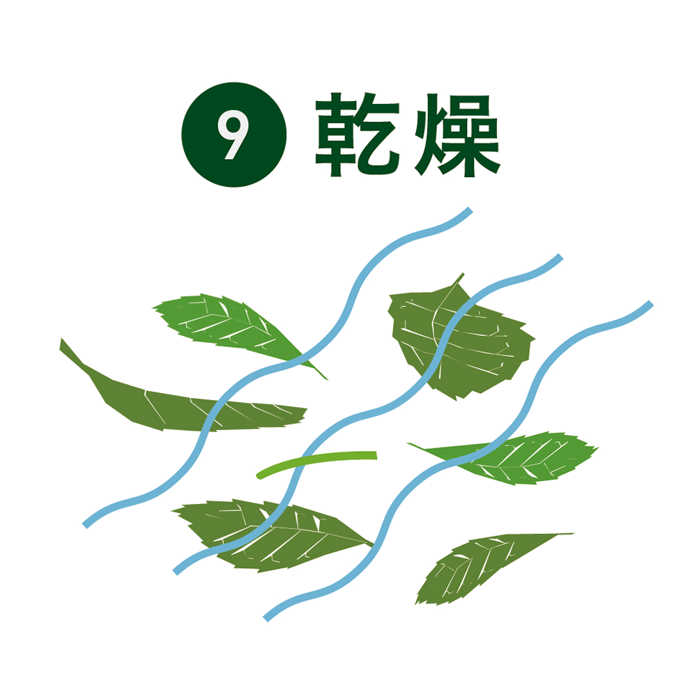 乾燥