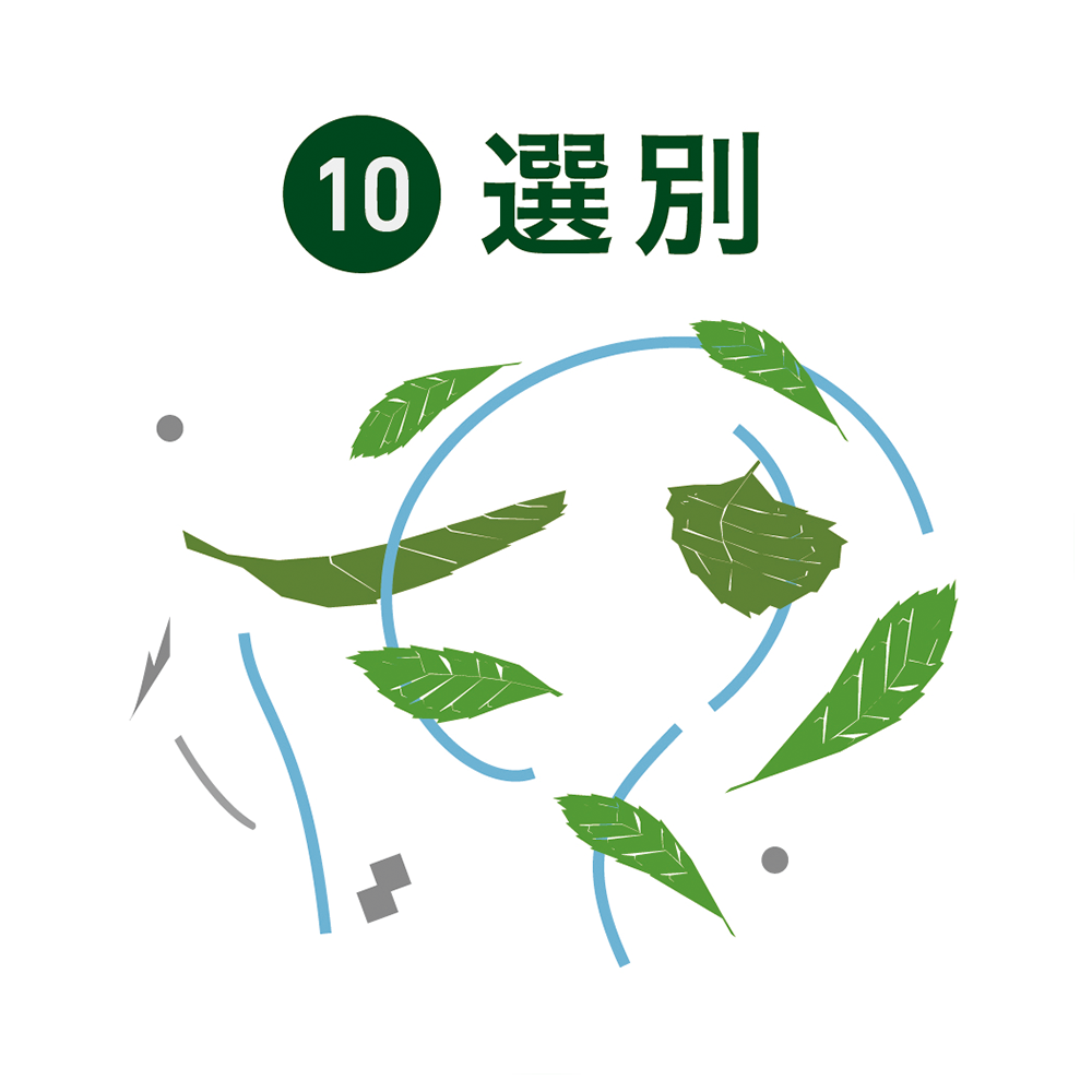 選別